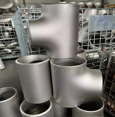 I T del acciaio al carbonio di BSPP SCH 40 uguagliano/testa galvanizzata del toro degli accessori per tubi della ghisa malleabile